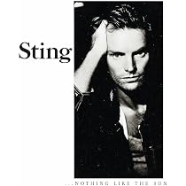 Amazon.co.jp: NOTHING LIKE THE SUN: ミュージック